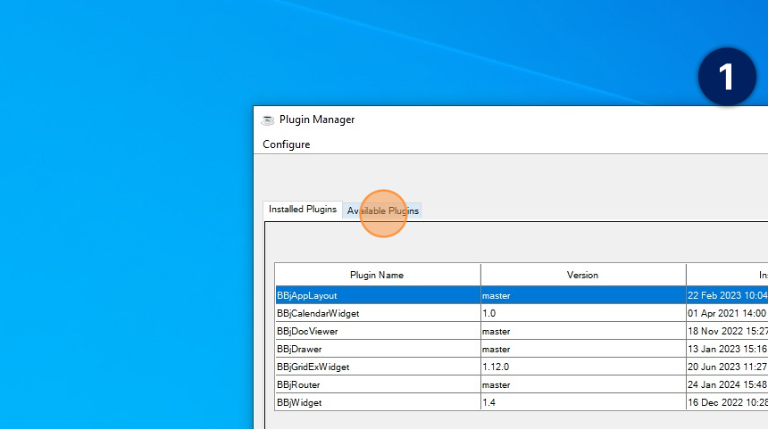 Plugin manager configuration