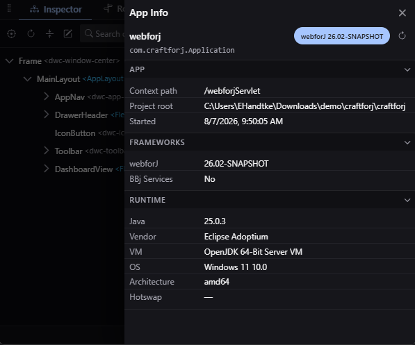 The App Info tab